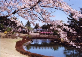 大芝湖