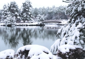 大芝湖の雪景色