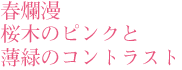 春爛漫
