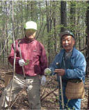 山菜採り