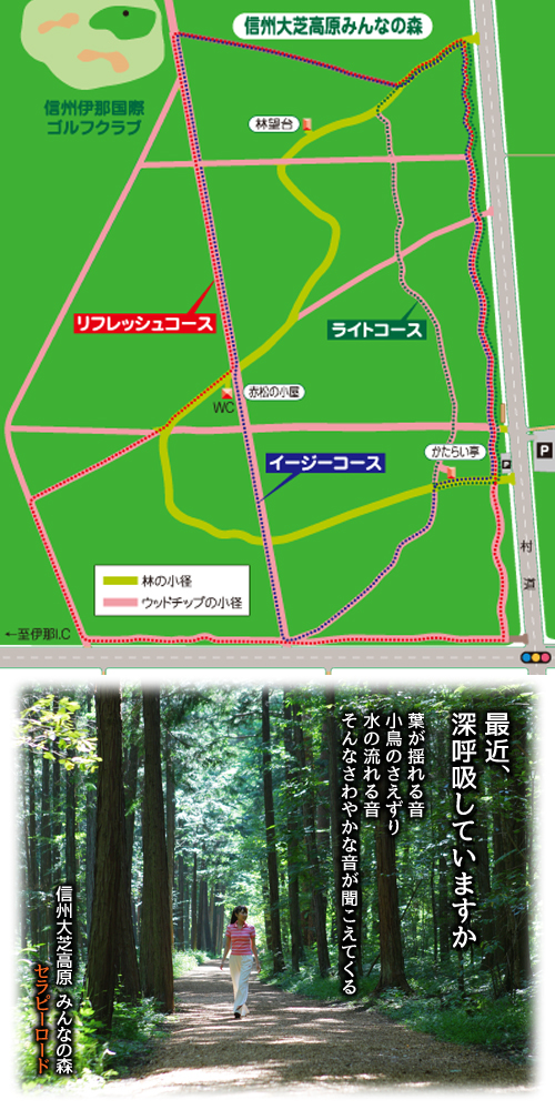 コース図