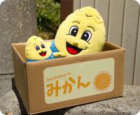 かわいがってください