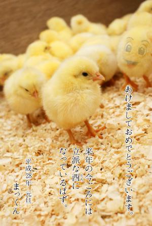 まっくんの年賀状(つなサイVer)