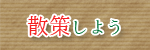 散策しよう